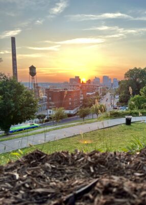 Libby Hill View
