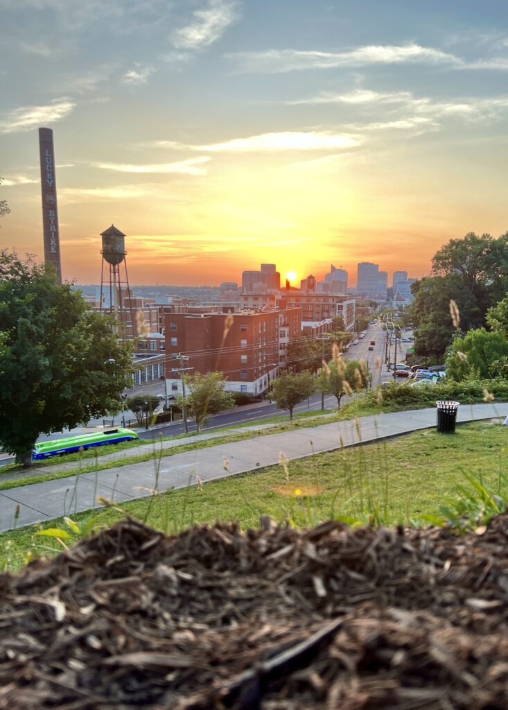 Libby Hill View